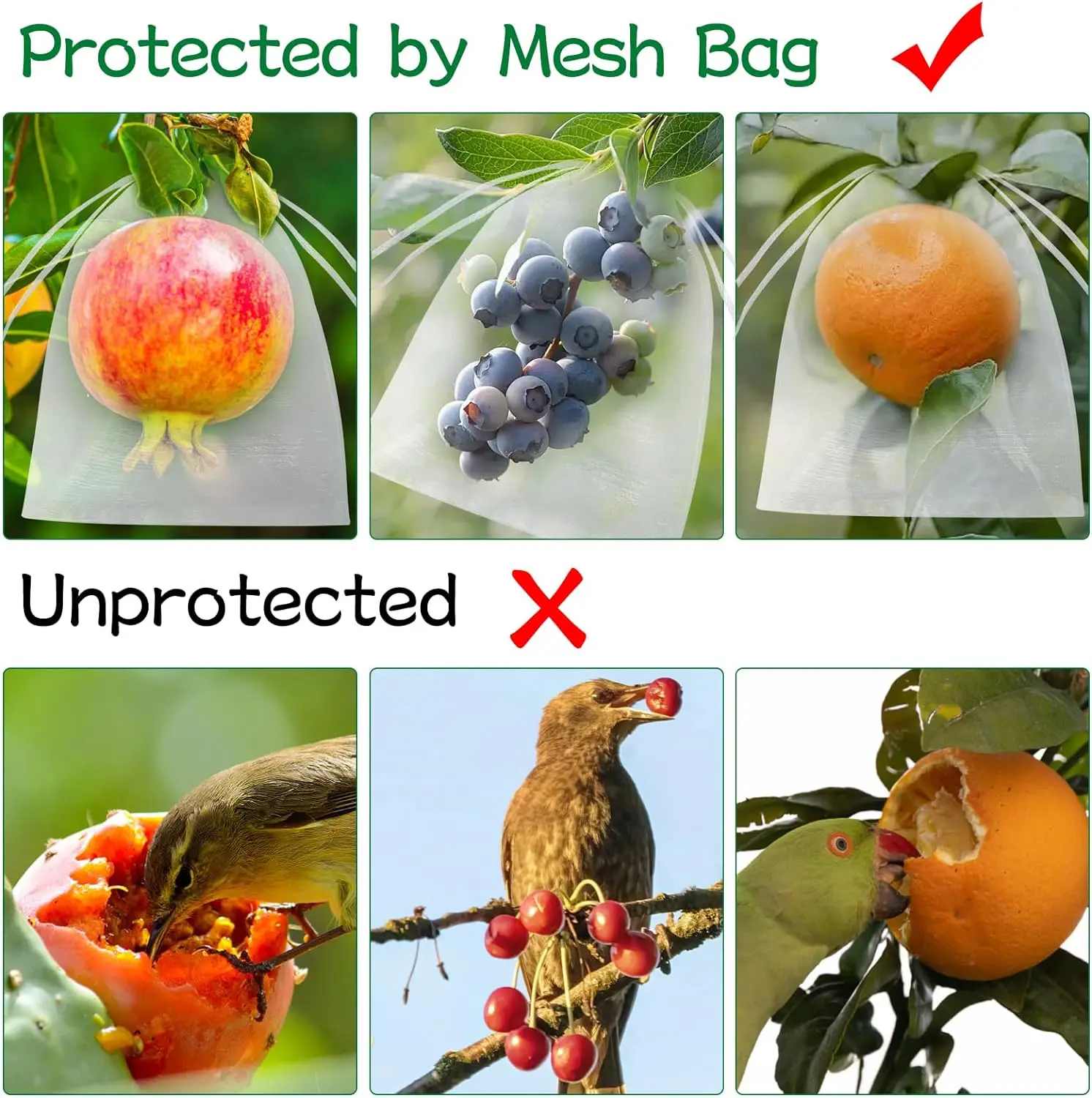 Slide image a86ddb16a6244aa9b9cffb4357e53ac9