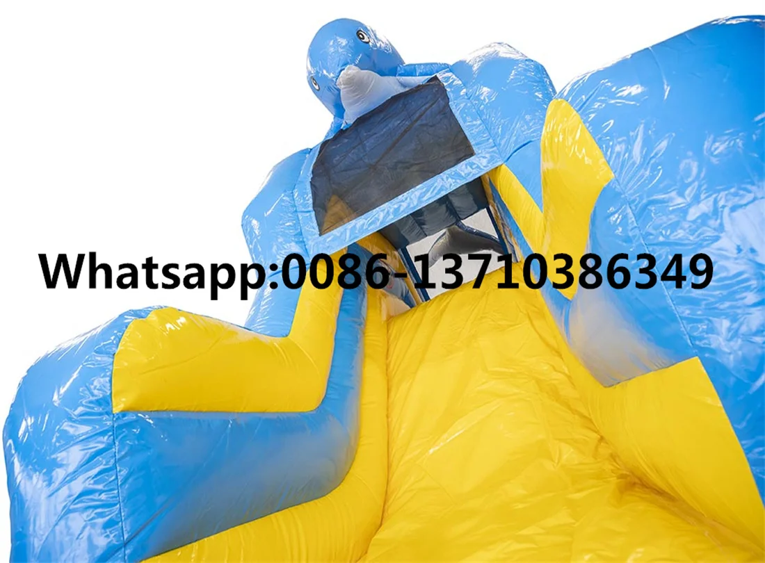 Commercial hot-selling outdoor dolphins, inflatable water, pool slide BD-075