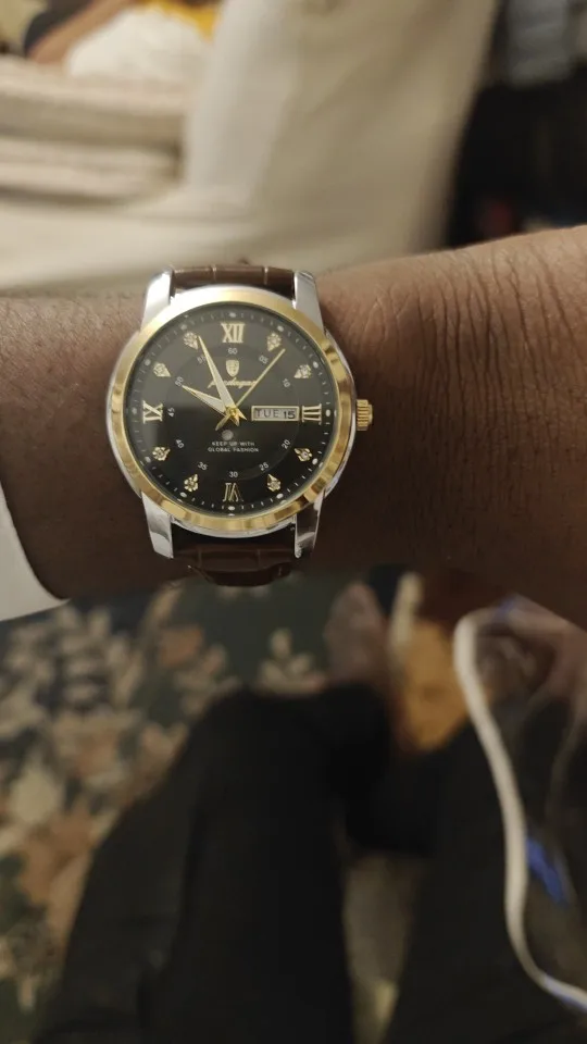 POEDAGAR Luxury Man Wristwatch photo review