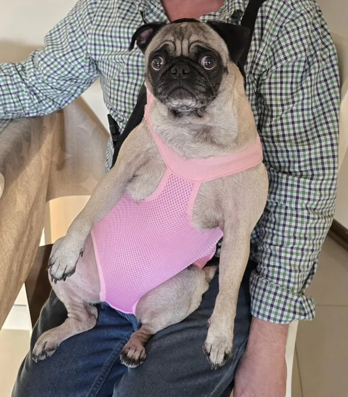 Pet Adventure Carrier Backpack photo review
