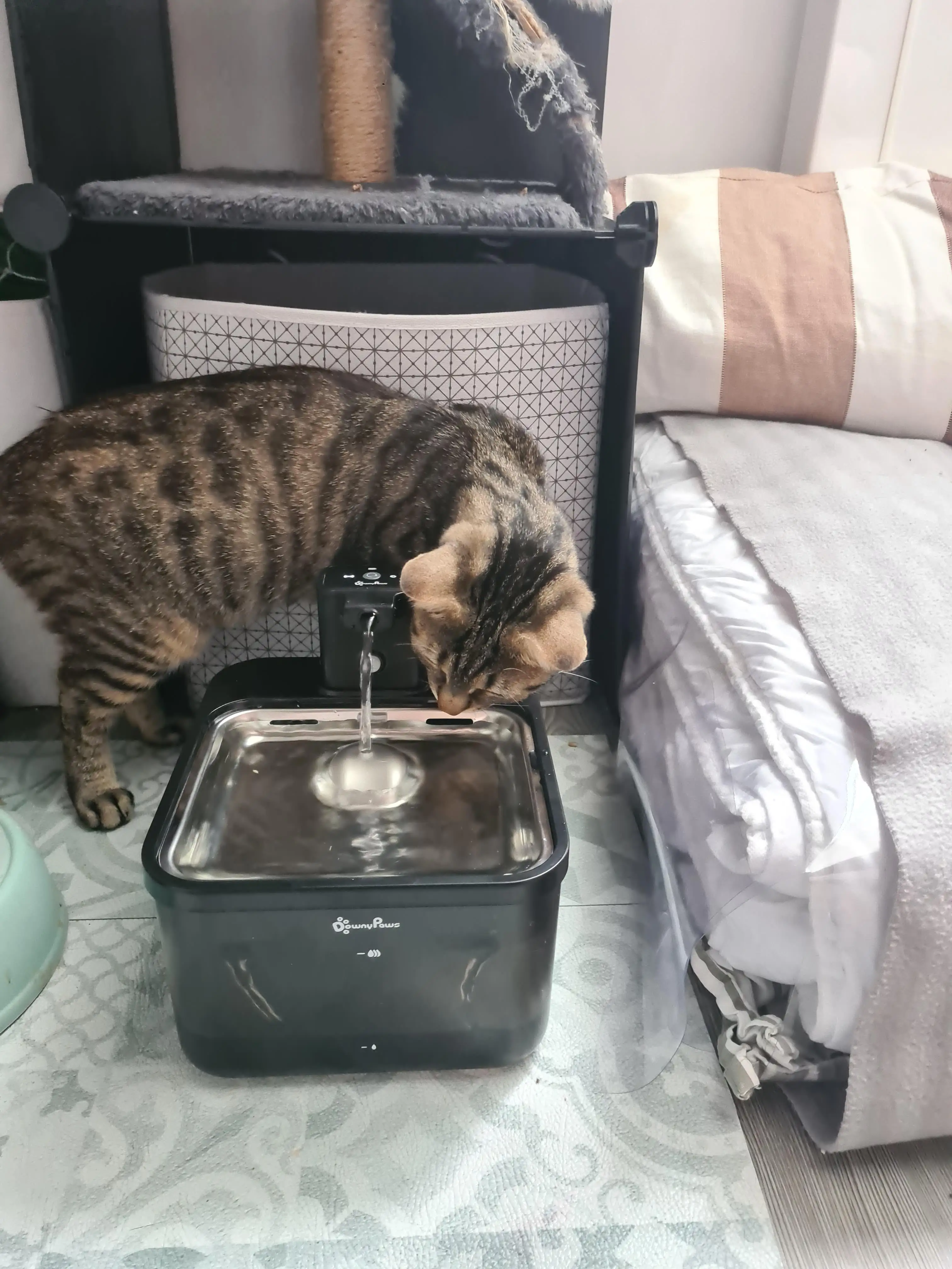DownyPaws 2.5L Wireless Cat Water Fountain Battery Operated Automatic Pet Water Fountain with Motion Sensor Dog Water Dispenser photo review
