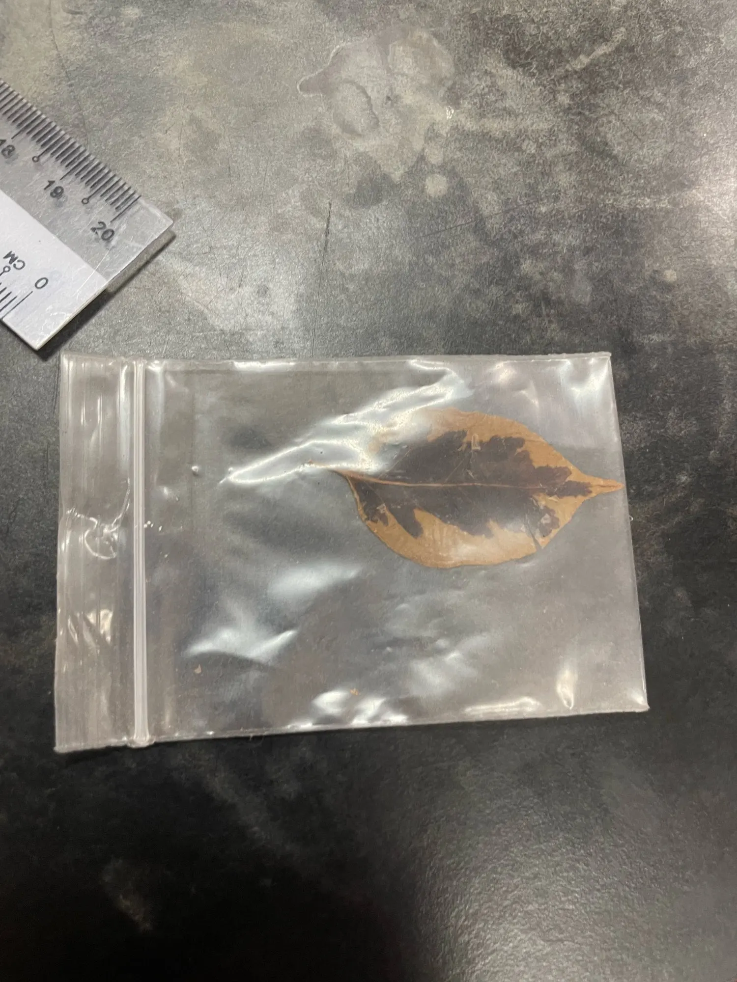 Elegant Classic Real 925 Sterling Silver Ring photo review