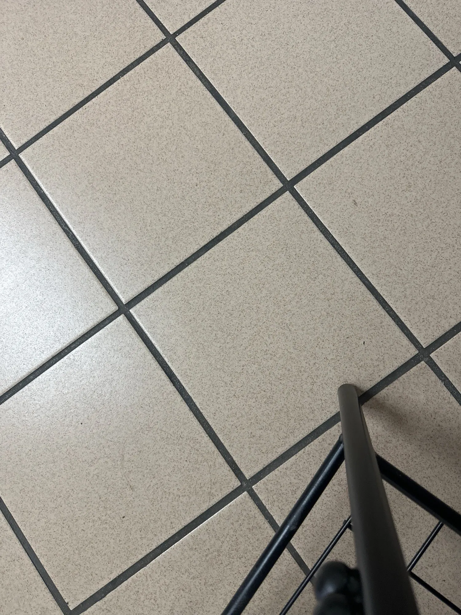 Halsband - Verstellbar, Reflektierend & Komfortabel für kleine Hunde und Katzen photo review