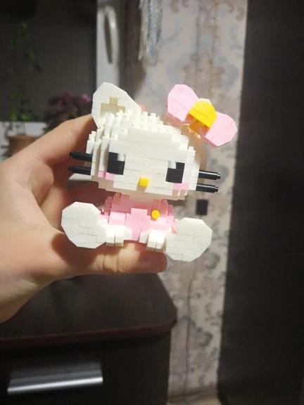 Block Hello Kitty photo review