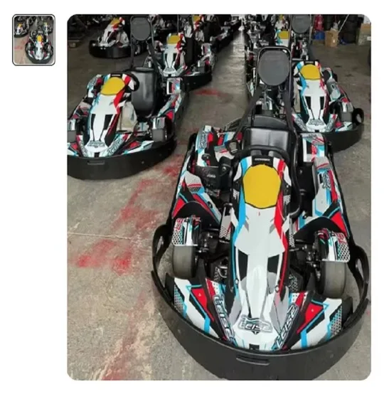SK Hot Selling TS7 Kart With GX200CC Adjustable seat and pedals