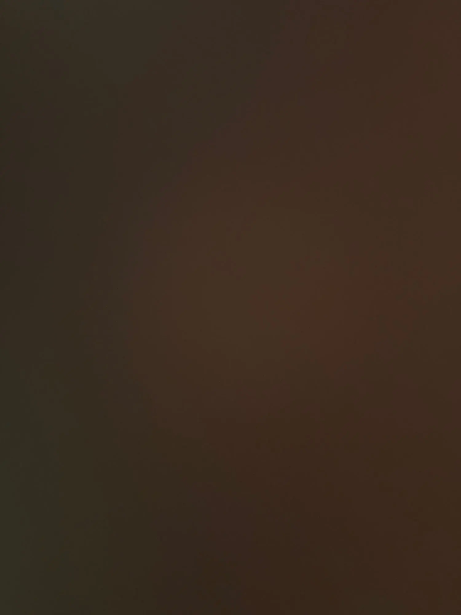 Champagne Ice Silk Pajama Set for Women - Luxe Summer Comfort photo review