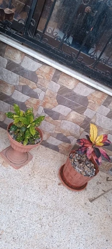 POEDAGAR Luxury Man Wristwatch photo review