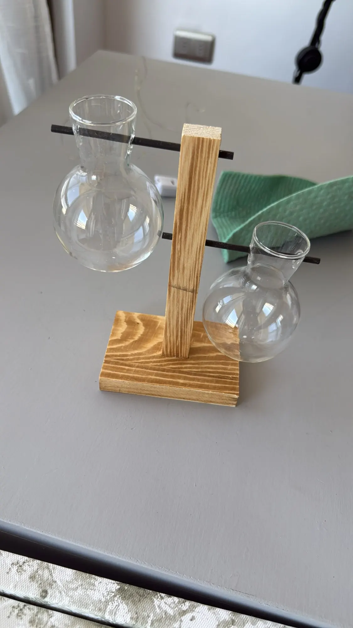 Hydroponic Plant Terrarium Vase photo review