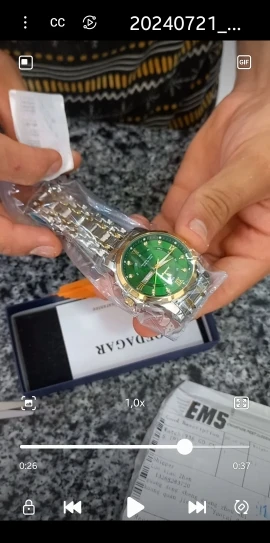 POEDAGAR Luxury Watch for Men photo review