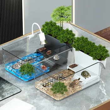 Reptile Breeding Habitat Tank 1