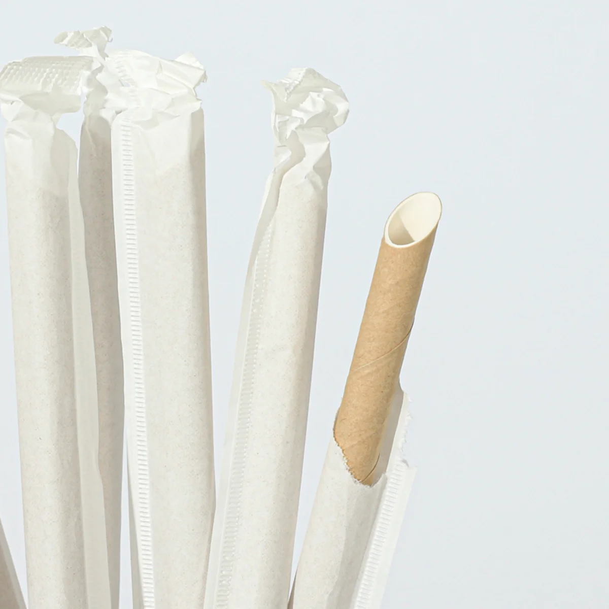 100pcs Individually Wrapped Paper Straws, Biodegradable Dye-Free Premium Paper Straws- Drinking Straws for Juices, Smoothies