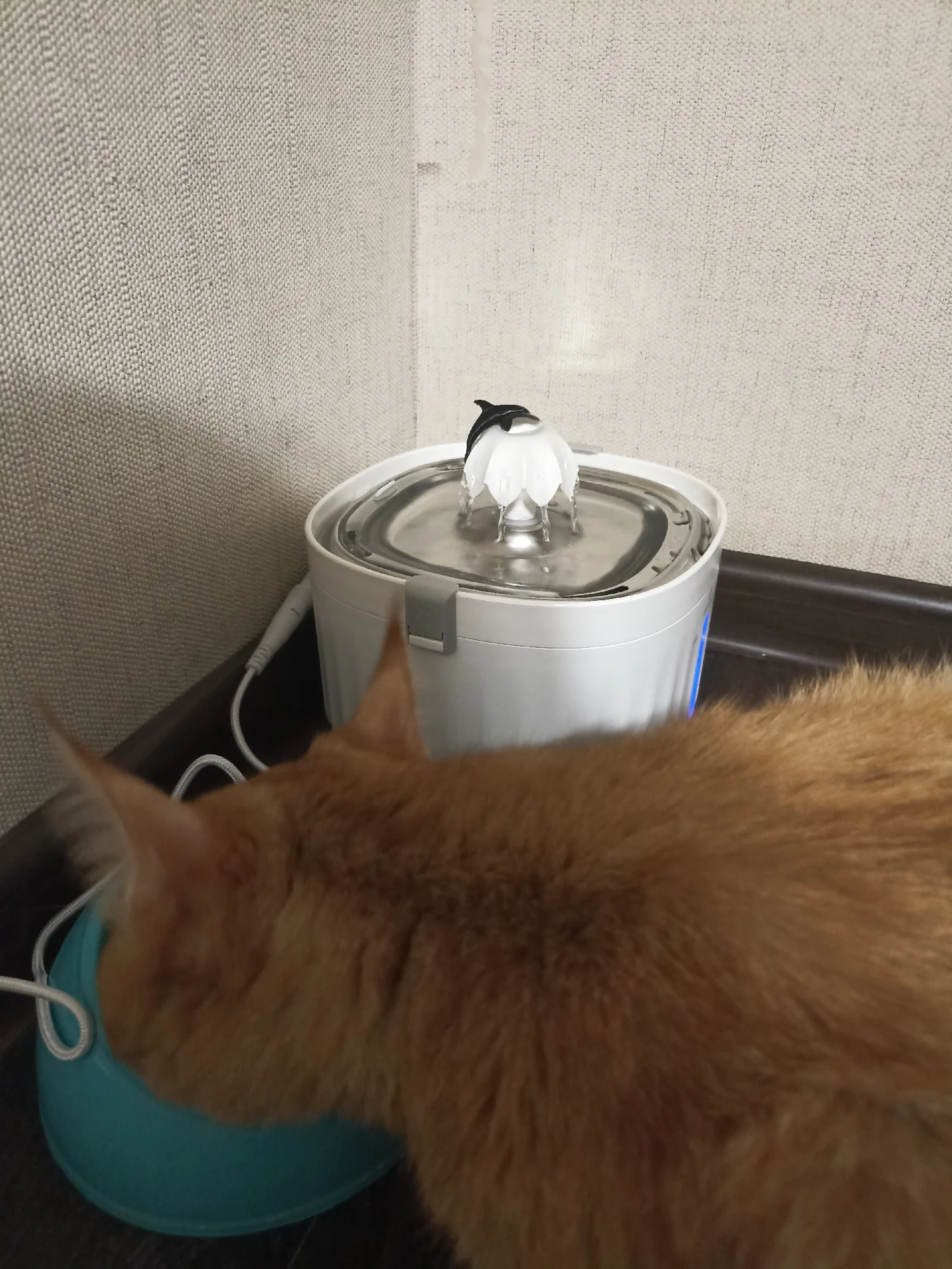 APETDOLA Cat Water Fountain Automatic Pet Water Dispenser for Cats Dogs with Stainless Steel Tray 6-level Filtering System fp10 photo review