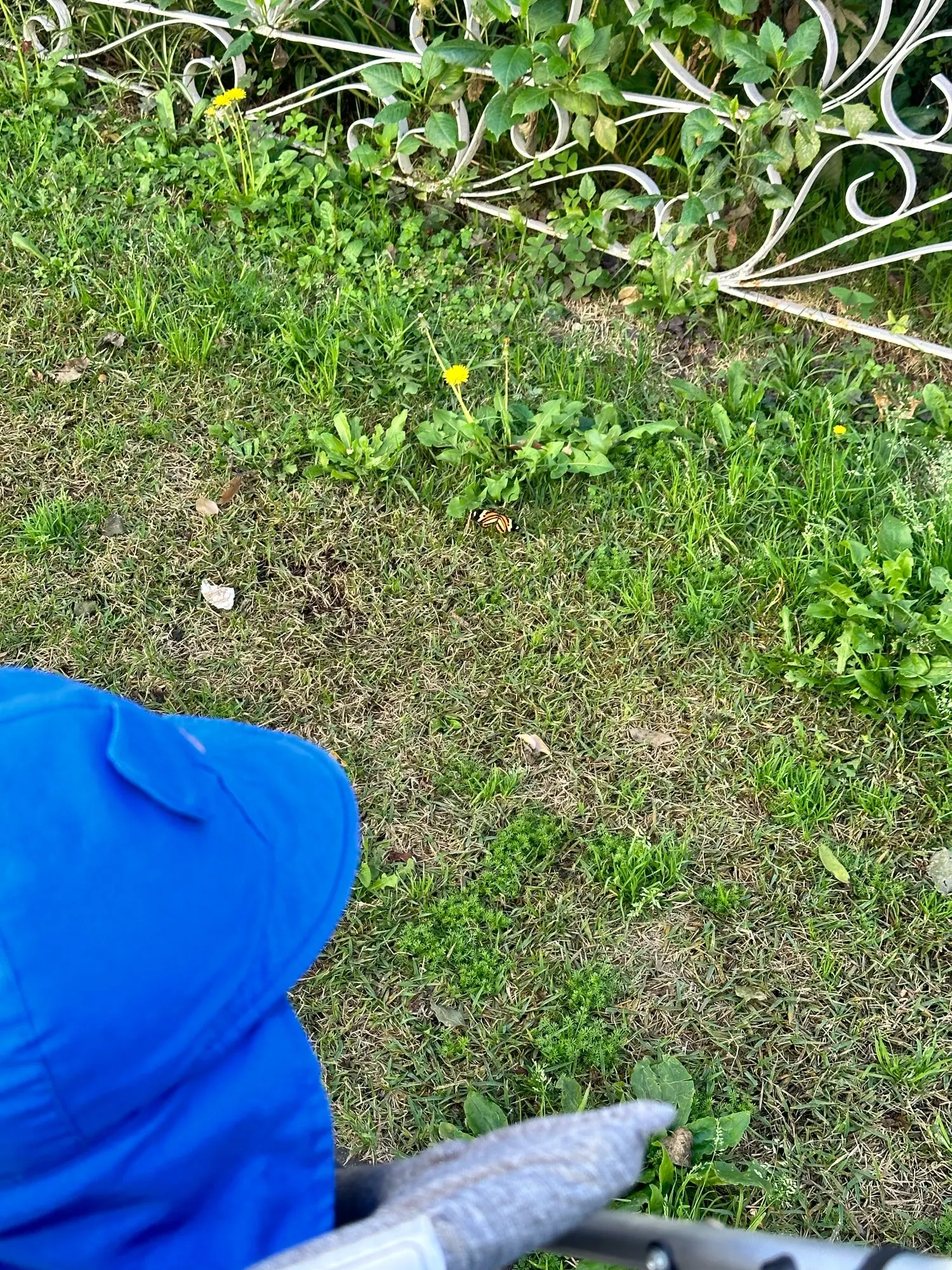 168 Magnet Bausteine - Konstruktionsspielzeug Set für kreative Designs photo review