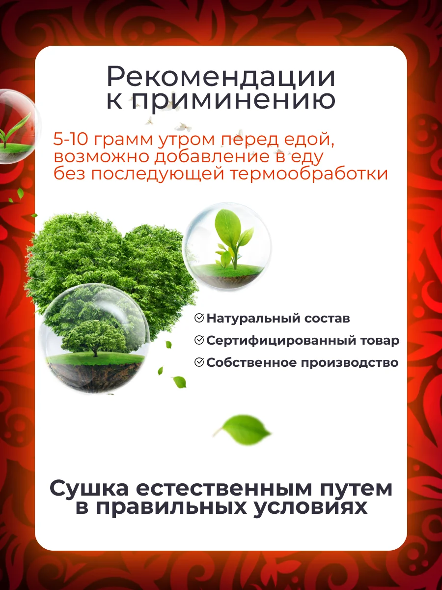 Рисунок 5 - Грибы, ezh , Ежовик (ежевик) Гребечатый