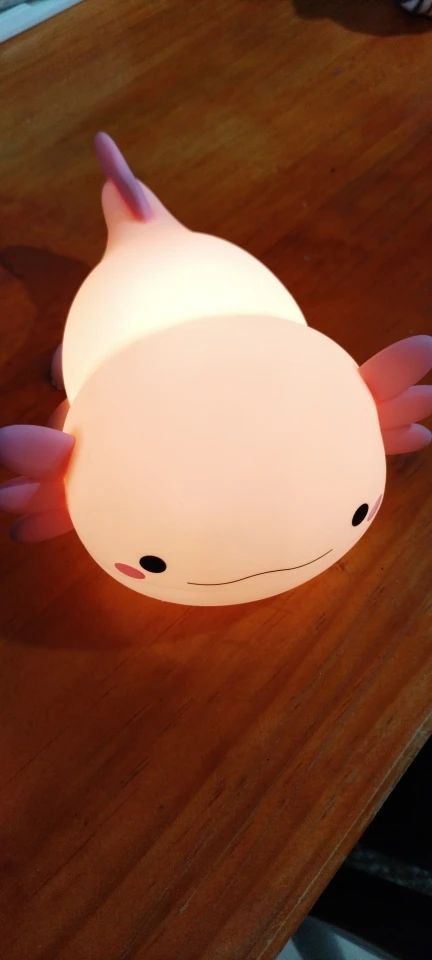 Silicone Rechargeable Nursery Lamp with Touch Control - USB Rechargeable Table Lamp photo review