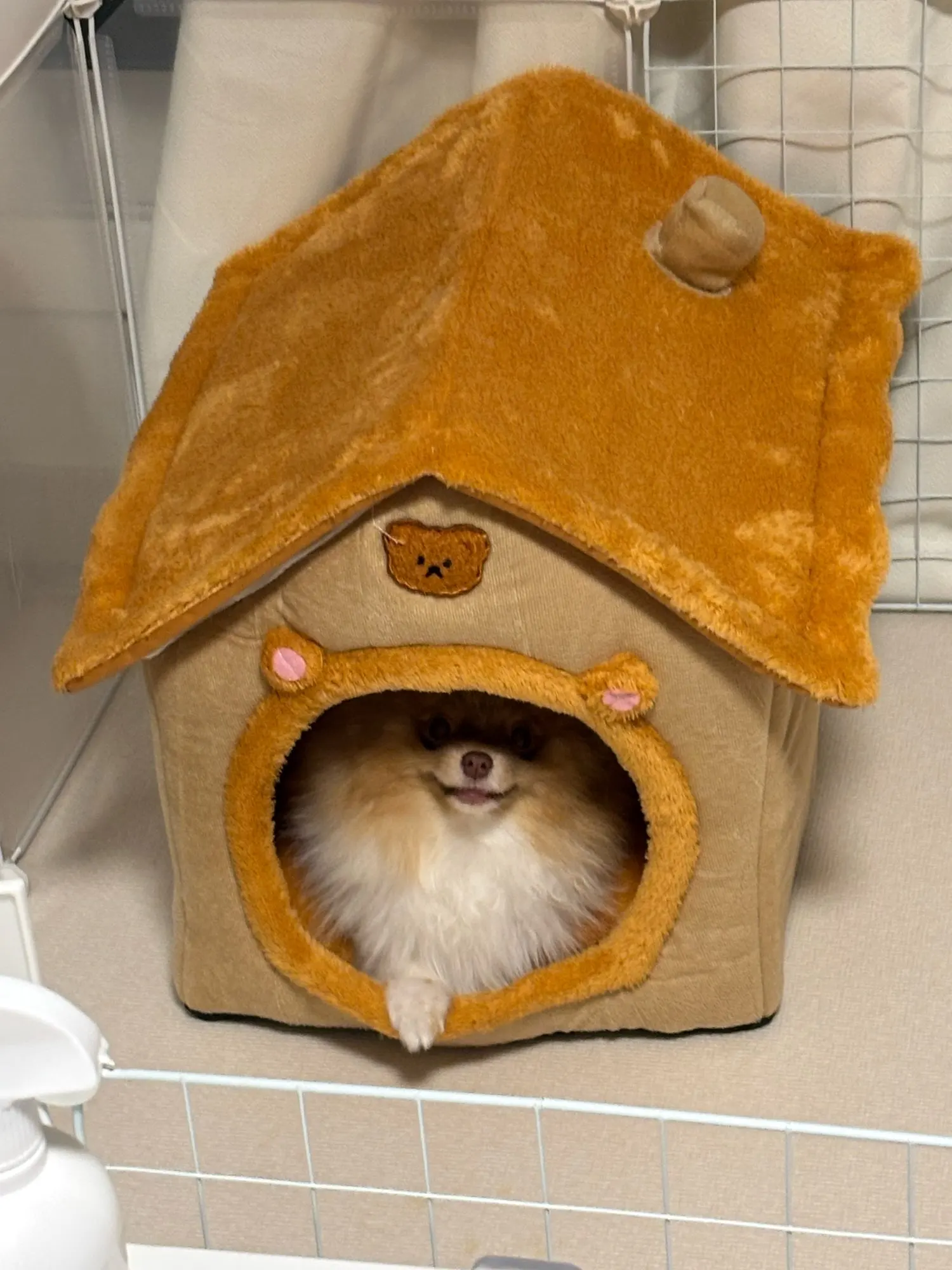 Cozy Foldable Pet House photo review
