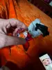Изображение товара 5