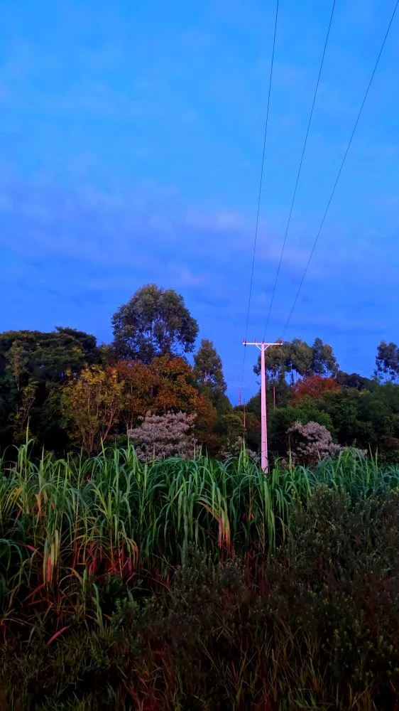 Lanterna Tática Militar X900 Profissional com Zoom Sinalizador Recarregável Luz Camping photo review