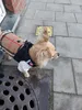 Изображение товара 1