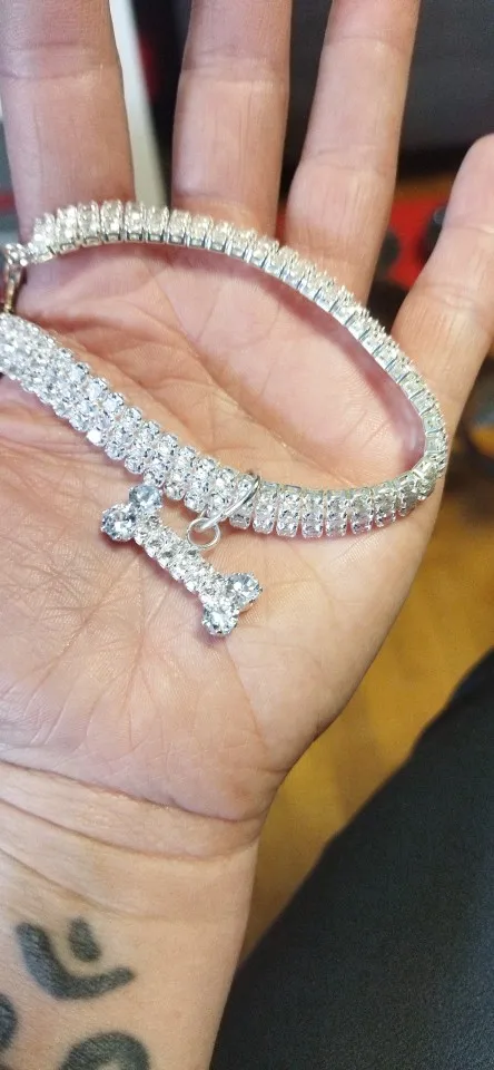 Sparkle Paws: Rhinestone-Studded Stretch Pet Collar with Elastic for Cats and Dogs photo review