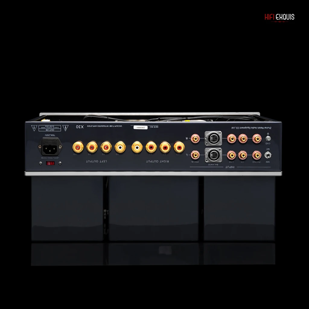 Muzishare X30 Hi-end 300B Push 845 Tube Amp
