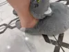 Изображение товара 4