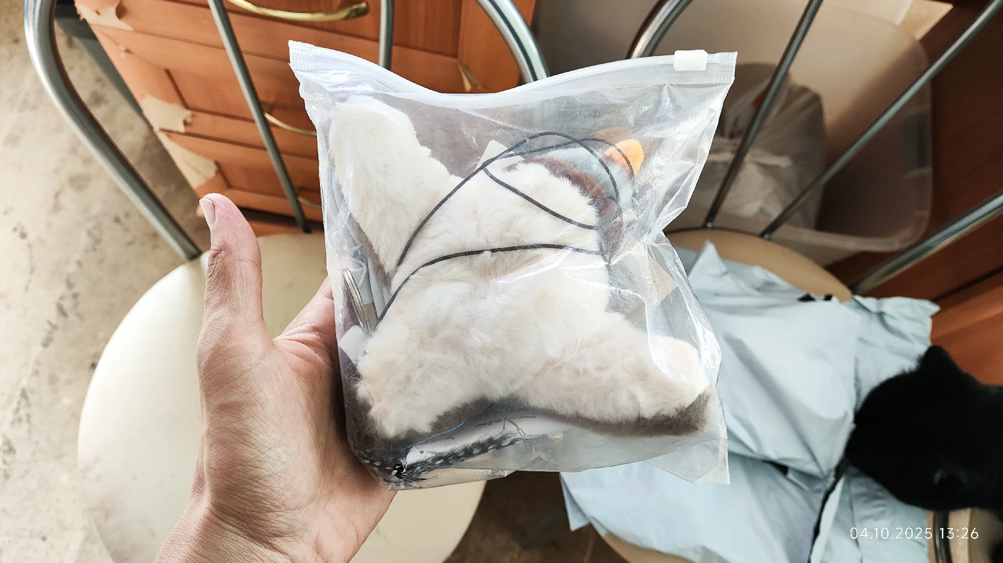 Juguete interactivo para gatos Pájaro