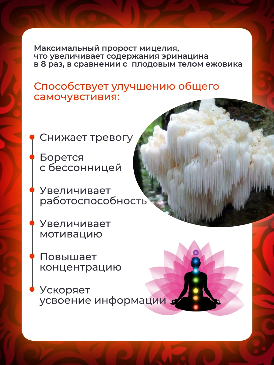 Рисунок 2 - Грибы, ezh , Ежовик (ежевик) Гребечатый