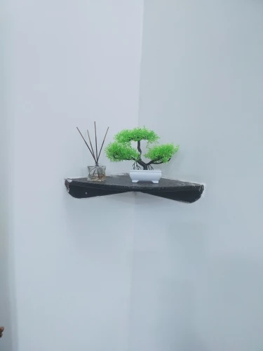 Cute Decorative Mini Bonsai photo review