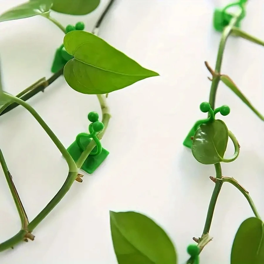 10pcs Outdoor Garden Wall Plant Clips Self-Adhesive Support For Climbing Vines Traceless Fixator For Hanging Flower Baskets