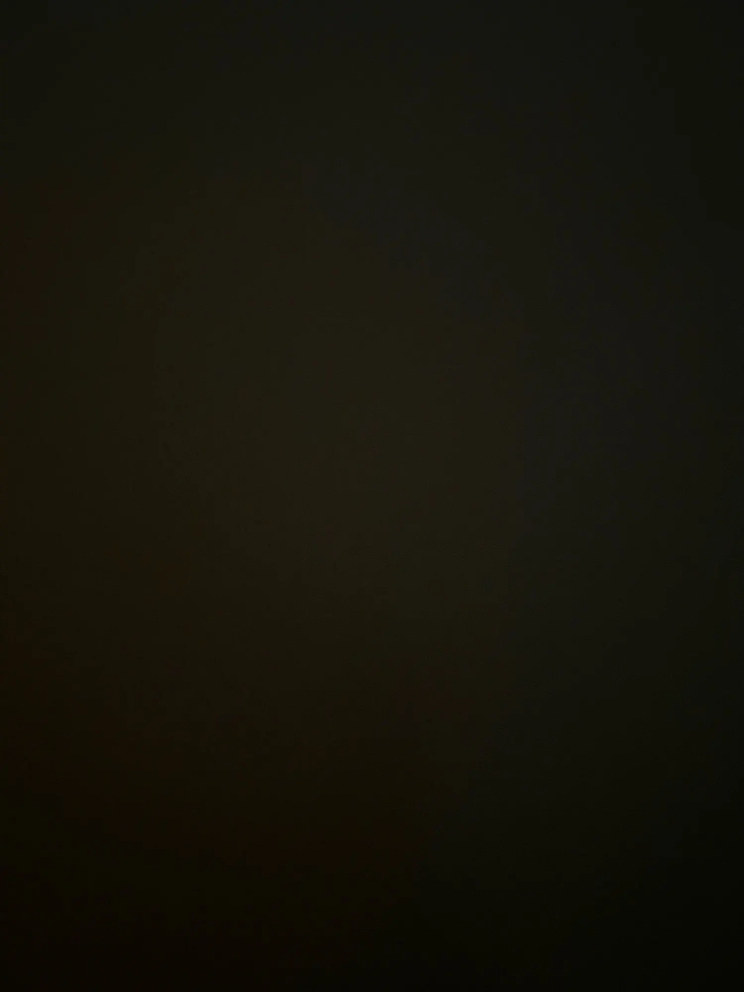 Professional Foundation Brush 47 Broom Head Liquid Foundation Shadow Repairing Brushes photo review