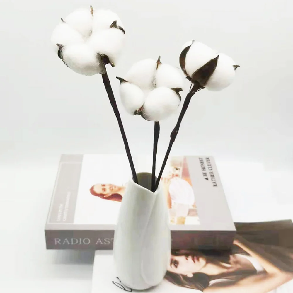 

10 Pcs Artificial Kapok Natural Dried Flowers Simulation Cotton Wedding Room DIY Wreath Bouquet Gift Box Easter Decor Supplies