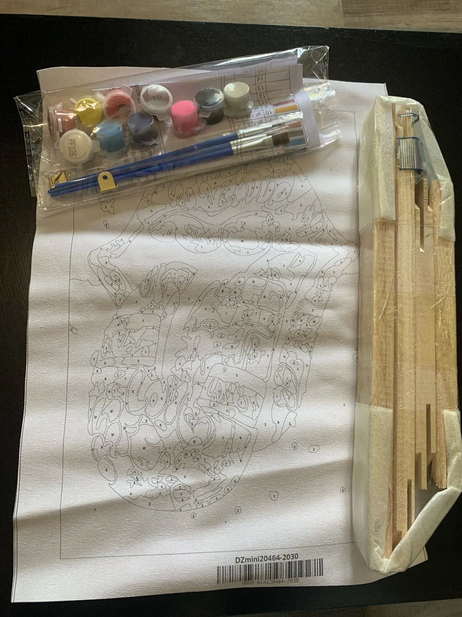 DIY Graffiti Tongue Painting By Numbers Art