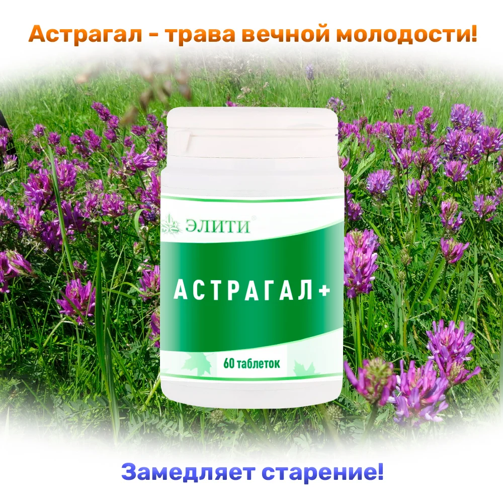 АСТРАГАЛ+, лопух корень, молодость, замедляет старение, продлевает молодость, укрепляет иммунитет, для сердца, диабет