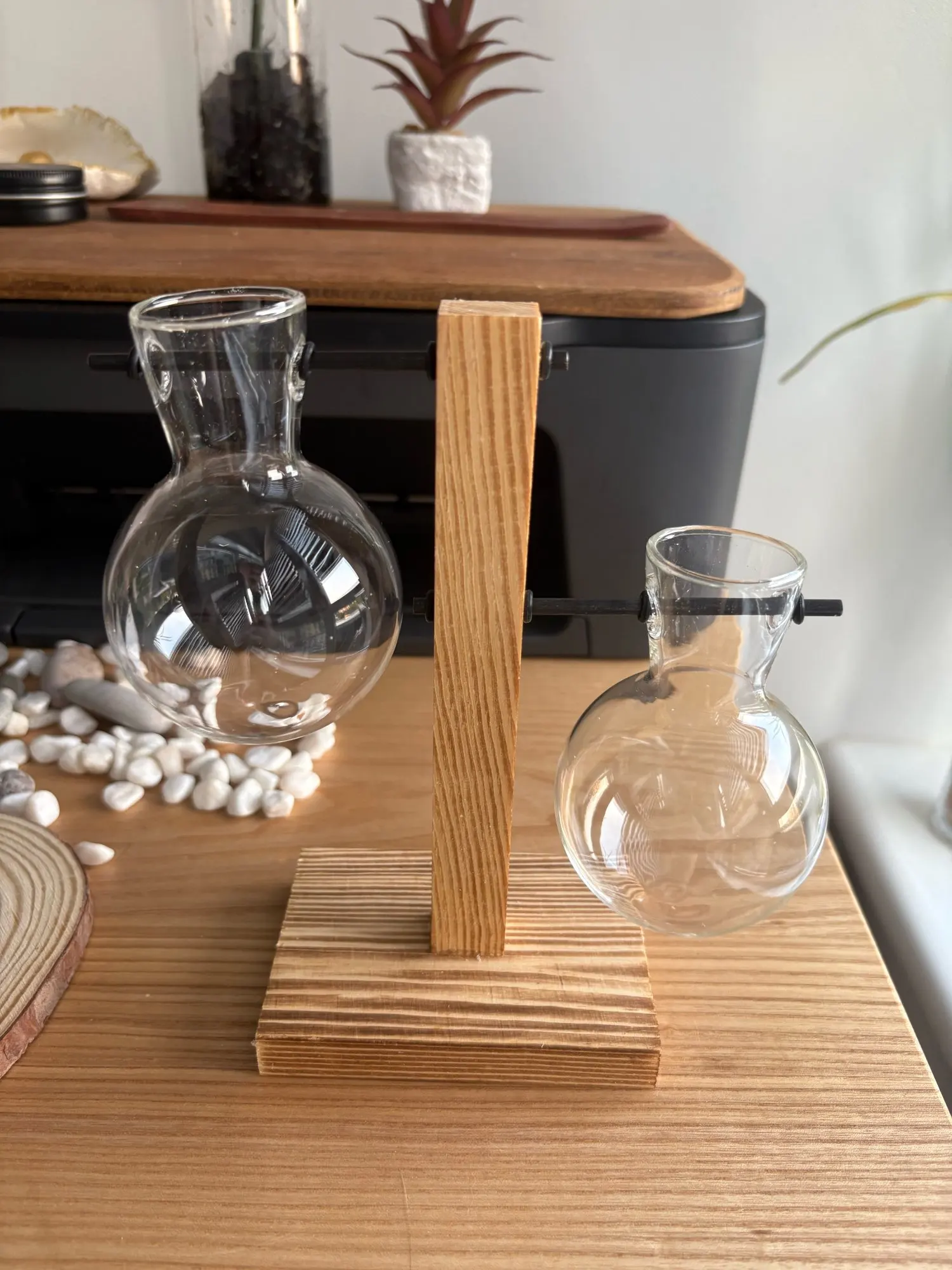 Hydroponic Plant Terrarium Vase photo review