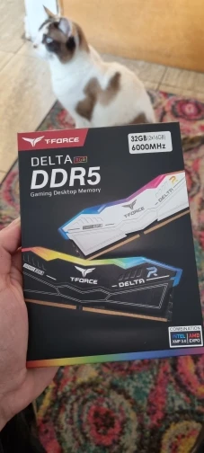 TEAMGROUP T-Force Delta RGB DDR5 Ram 32GB(2x16GB) /(32GBX2