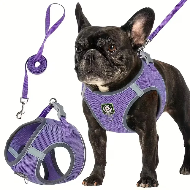 [Dog Walking Harness] 601 Small And Medium Dog Walking Harness + Leash Set 2pcs, Without Battery 6