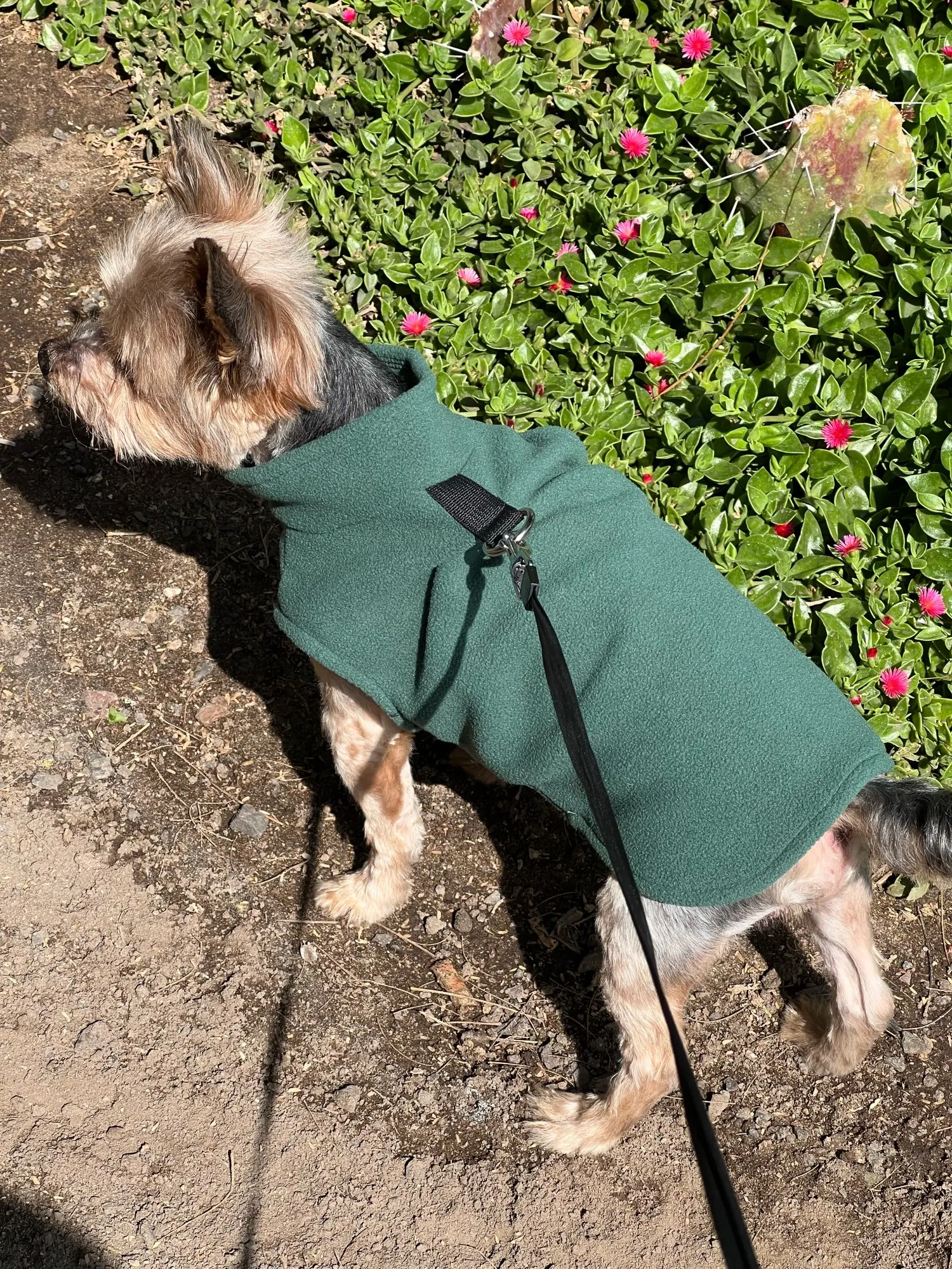 Cozy Canine Cloak: Warm Winter Vest for Small to Medium Dogs photo review