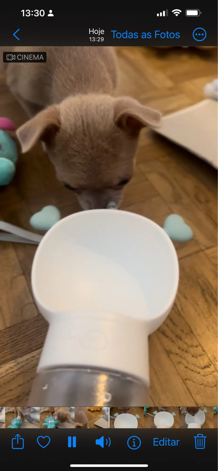 Travel Paws 2-in-1 Bottle: Hydration and Nourishment on the Go photo review