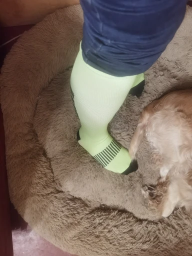 🧦 גרבי דחיסת דליות וורידים לספורט! 💪 גרבי דחיסת איכותיות לנוחות ושיפור מחזור הדם, אידיאליות לריצה, רכיבה וטיולים. מתנה נהדרת לגברים עם סוכרת, מסייעות בהפחתת עייפות ושיפור בריאות הרגליים.