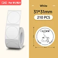 White 3131