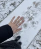Изображение товара 5
