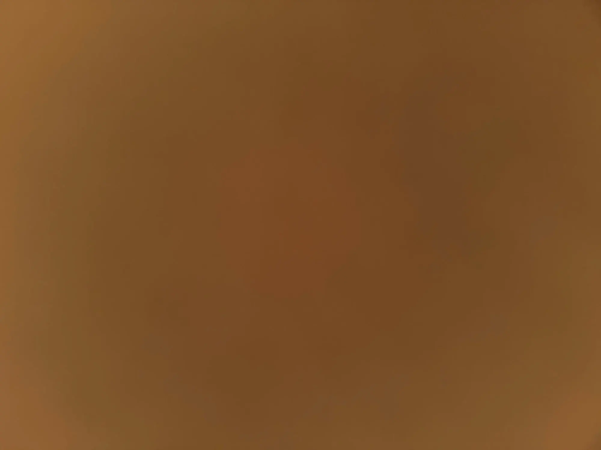 Howl-o-Ween: Funny Dog Costume Sets for Medium to Large Breeds photo review