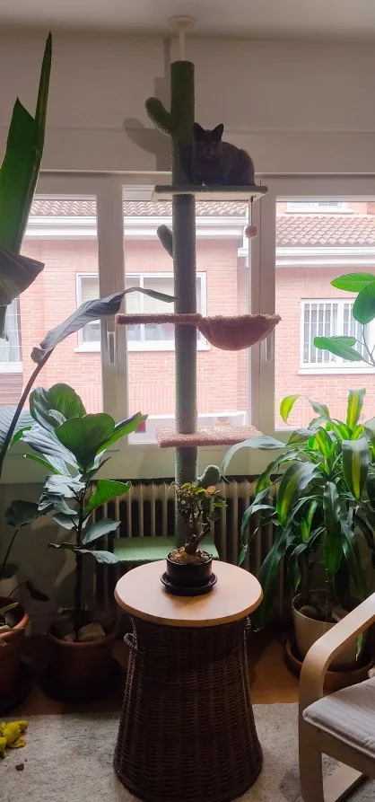 Cactus Cat Tree
