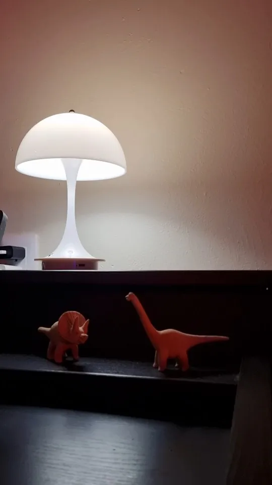 Dimmable LED Table Lamp Portable, USB Charging, Perfect for Bedroom Bedside Illumination photo review