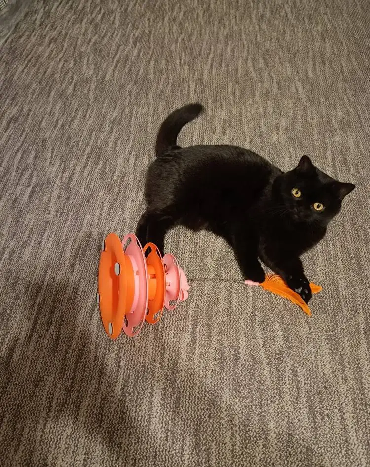 1pcs 4-Layer Feather Cat Turntable With Fun Toy Ball And Playing Stick - Interactive Toy For Cats photo review