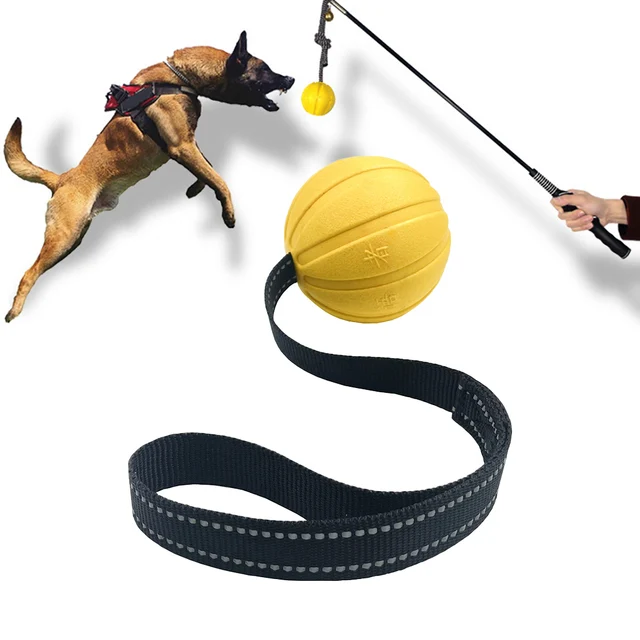 Dog Toy Balls On a Rope for Small Medium Large Dogs Chewers, Durable Interactive Ball for Training Dogs, EVA Foam Ball Floats Dog Toy Balls On a Rope for Small Medium Large Dogs Chewers, Durable Interactive Ball for Training Dogs, EVA Foam Ball Floats
