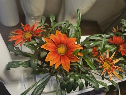 3 Size Set Stainless Steel Colander Household Noodle Dumpling Hot Pot Filter Screen Pearl Line Drain Large Fried Strainer photo review