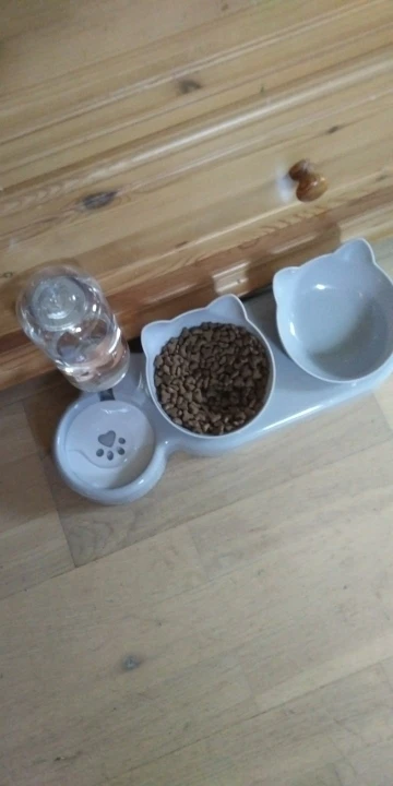 3-in-1 Food & Water Bowl - Tilted Design for Comfort