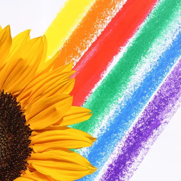 Rainbow Rain Store